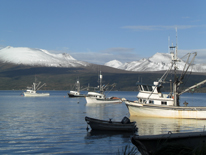 Commercial Fishing Boats